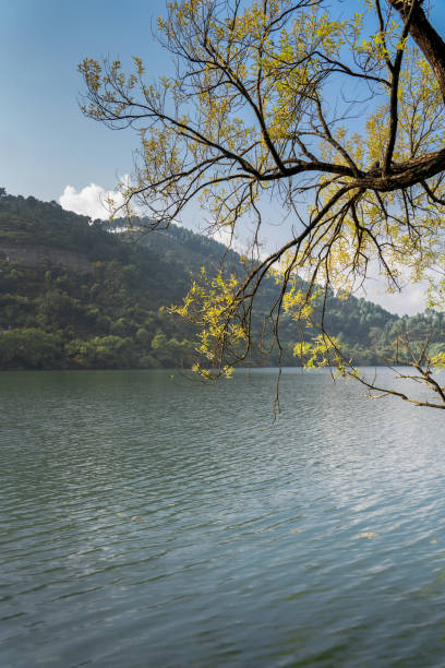 Ex - Kathgodam Jim Corbett 2N 3D