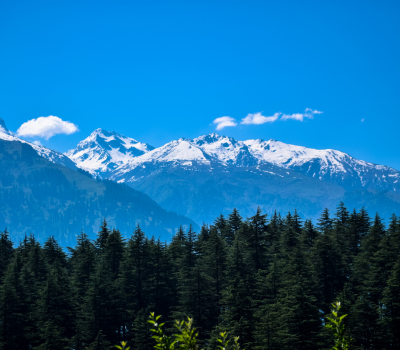 Himachal Delight: 4 Nights of Scenic Escapes – Shimla & Manali