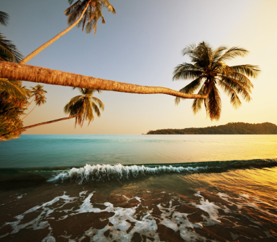 Short Escape to Andaman  (5N 6D)  2N Port Blair / 2N Havelock / 1N Neil Island