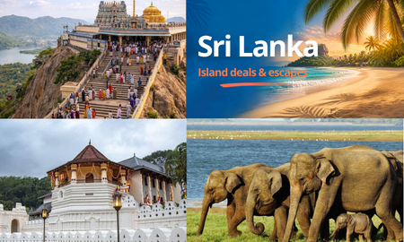 One Island, Four Worlds: Discover the Many Sides of Sri Lanka 🌴✨